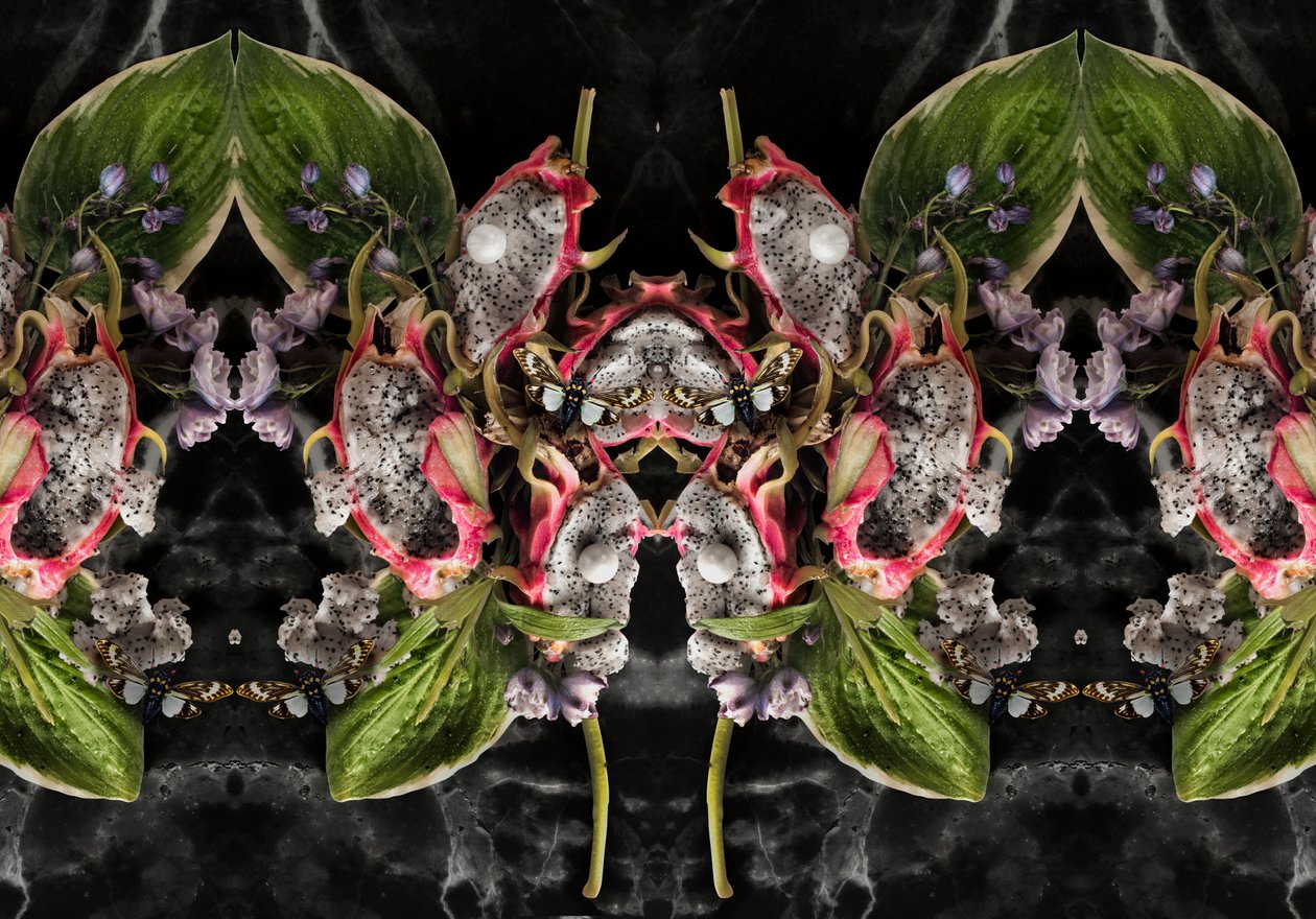 2016年 Eve_01（写真） 作： 