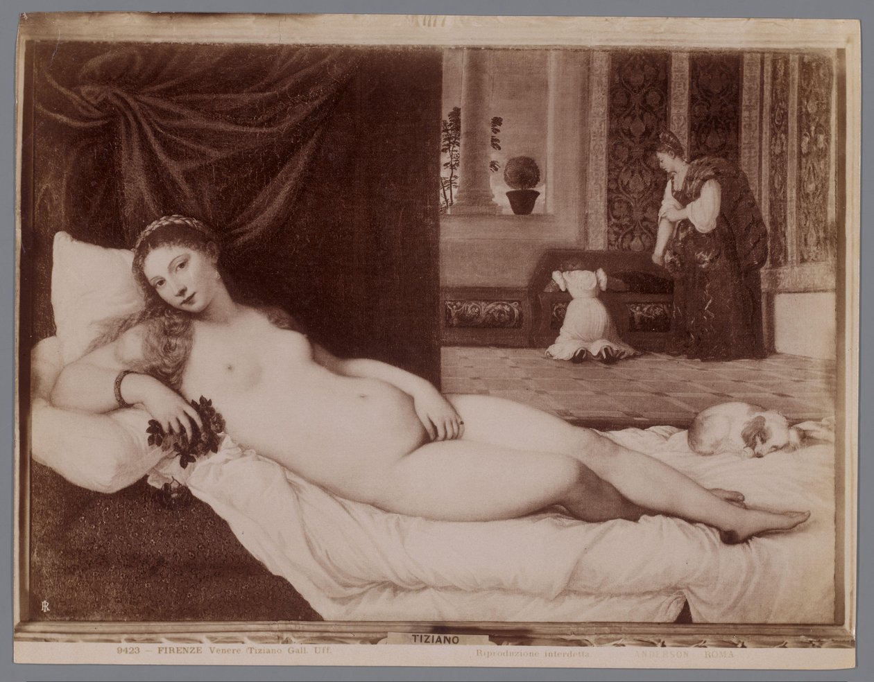 ティツィアーノの絵画「ウルビーノのヴィーナス」の写真複製 Firenze, Venere (Tiziano Gall. Uff.) (オブジェクトのタイトル) 作： アンダーソン（会社）