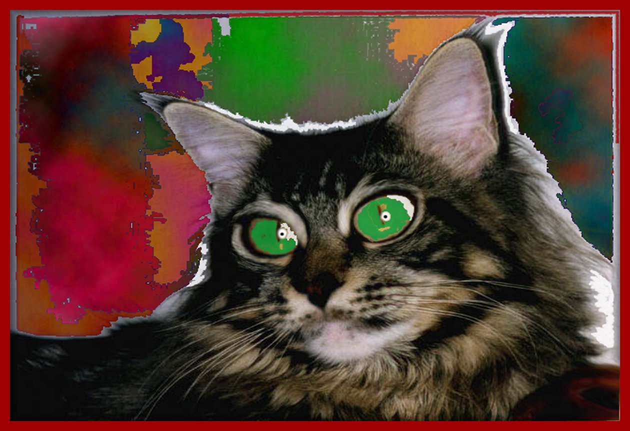 STREGATTONE, 2004 （デジタルペインティング） 作： 