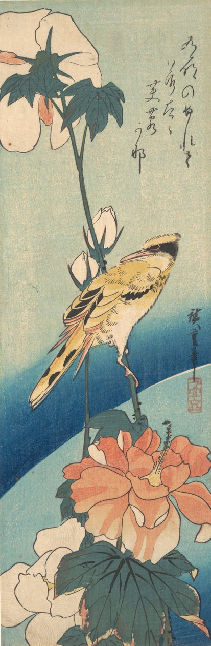 アオイ科の植物の幹に乗ったコウライウグイス、カリフォルニア州。 1834年頃。 1834年。 作： 安藤広重