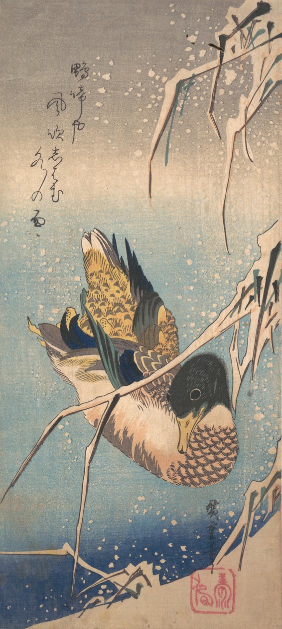 雪が積もった海岸近くの鴨、カリフォルニア州。 1843 年。 1843年。 作： 安藤広重