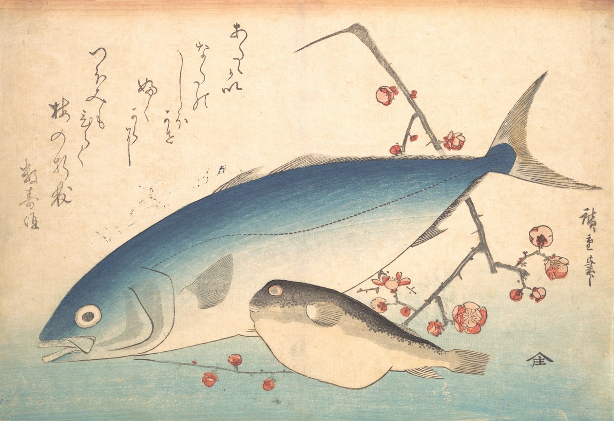 フグとイナダの魚, シリーズ 魚づくし さまざまな魚, 1840s., 1840s. 作： 安藤広重