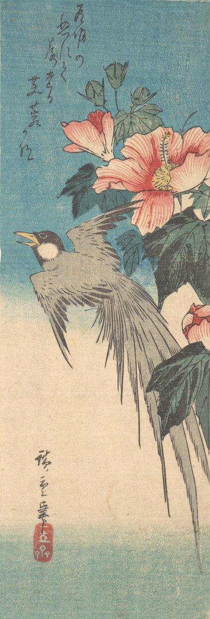 Hibiscus Mutabilis と Long-Tailed Bird, ca. 1842年頃。 1842年。 作： 安藤広重