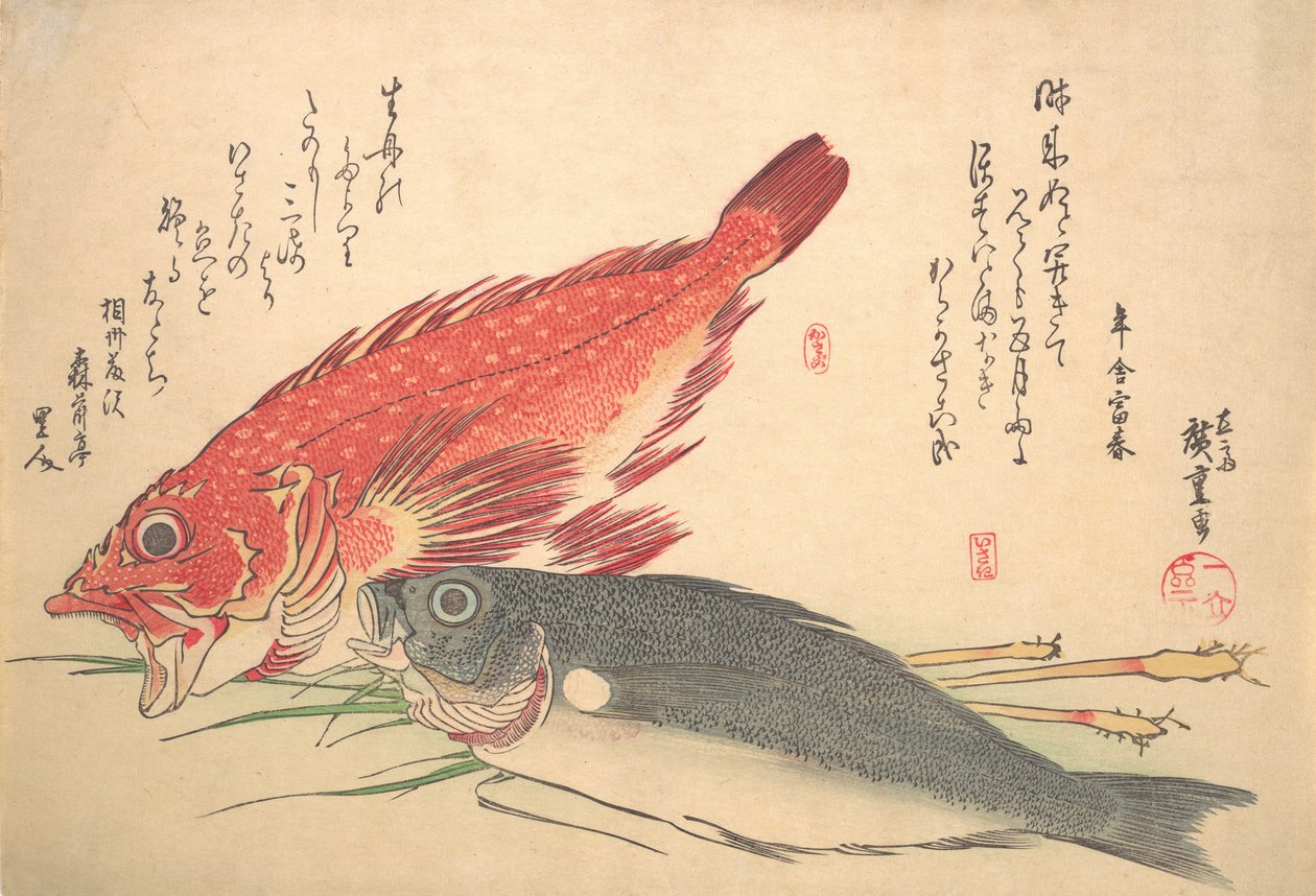 イサキとカサゴの魚, シリーズ 魚づくし いろいろな魚, 1830s., 1830s.