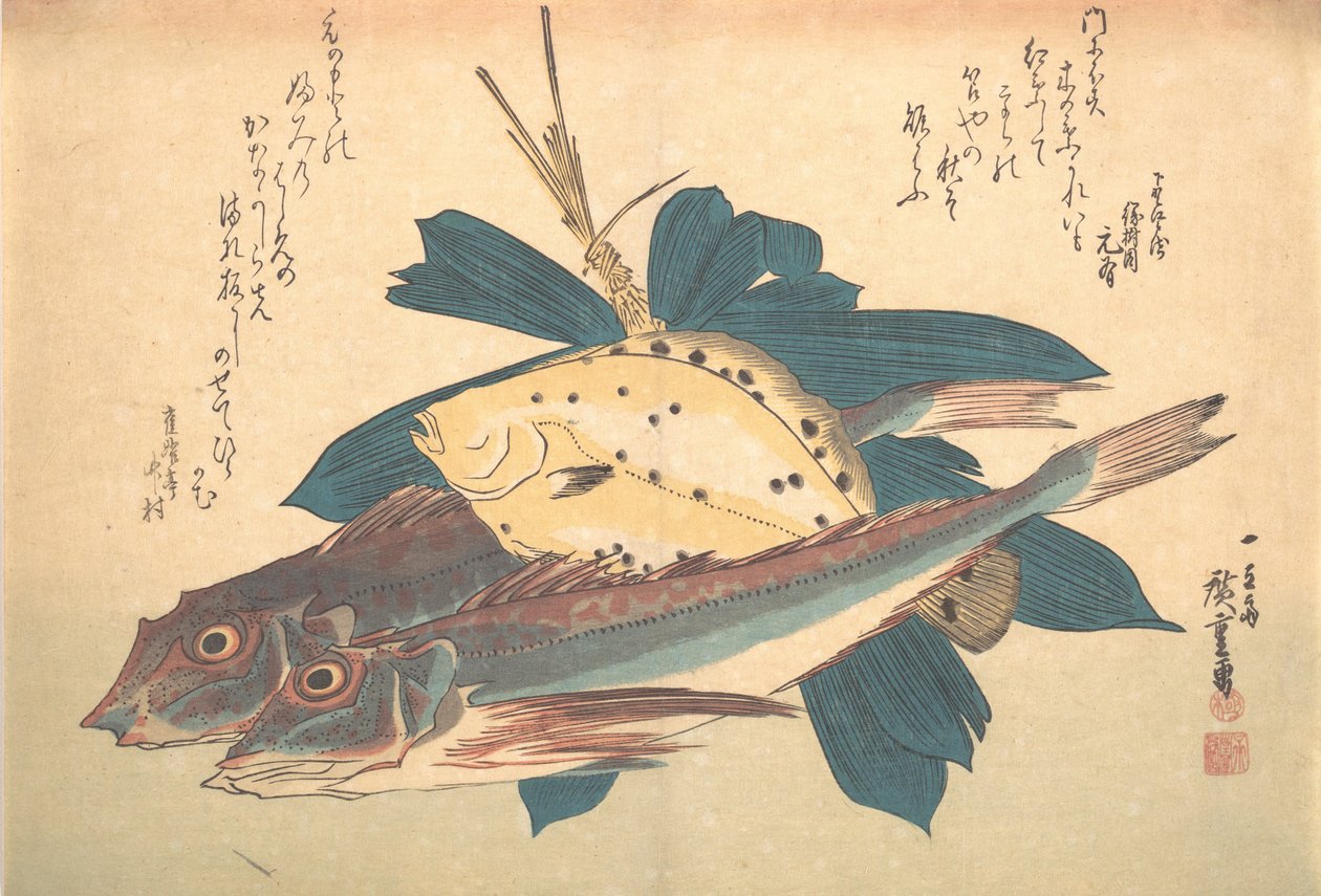 カナガシラとカレイの魚, シリーズ 魚づくし いろいろな魚, 1830s., 1830s. 作： 安藤広重