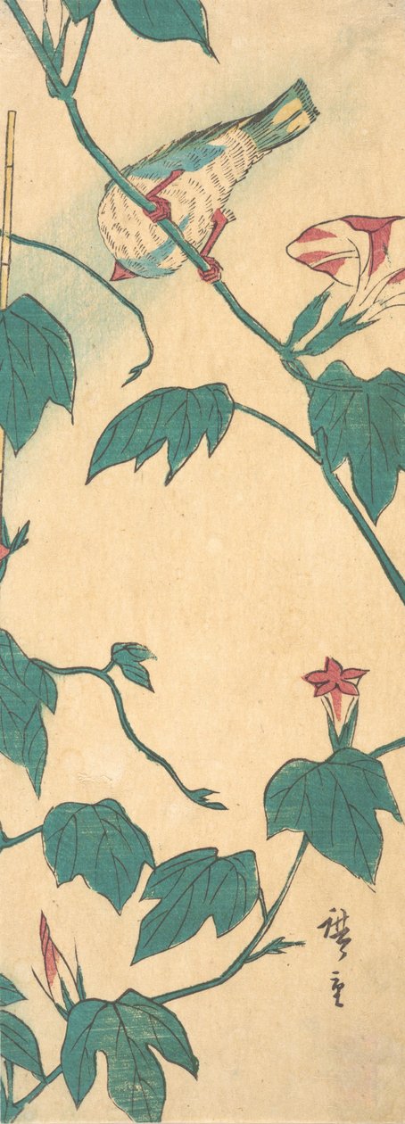 朝顔と鳥, 1840-50., 1840-50. 作： 安藤広重