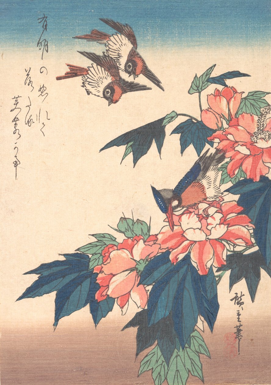 ツバメとカワセミとアオイ科の植物、カリフォルニア州。 1838年頃。 1838年。 作： 安藤広重