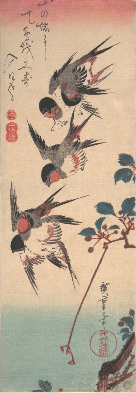 ツバメとワイルド チェリー、カリフォルニア州。 1834年頃。 1834年。 作： 安藤広重