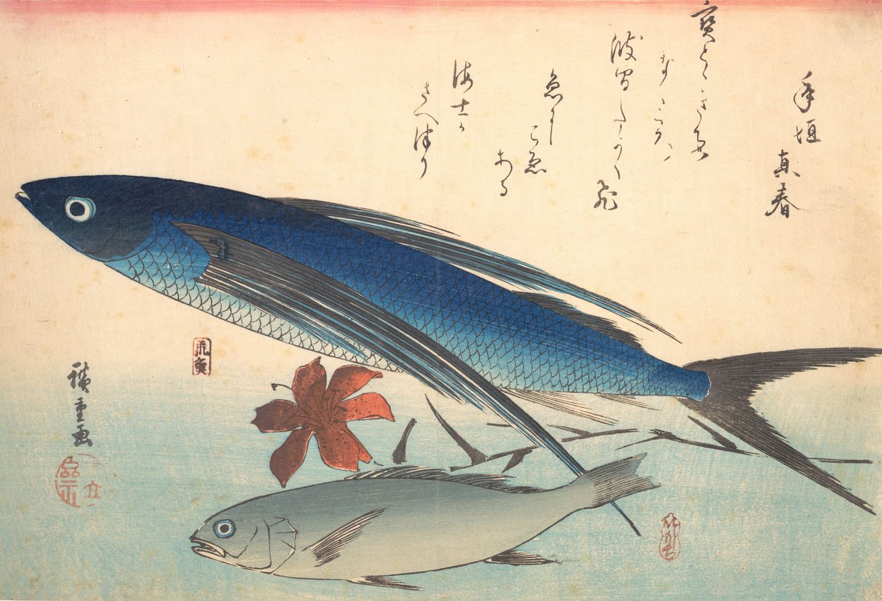 トビウオとイシモチの魚, シリーズ 魚づくし いろいろな魚, 1840s., 1840s. 作： 安藤広重