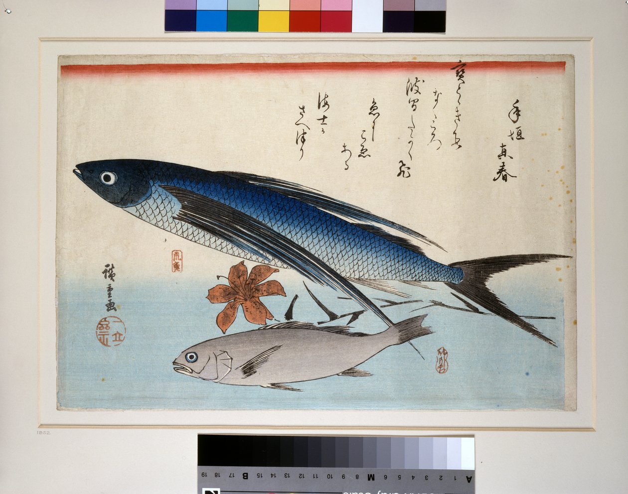 トビウオ、イシモチ、ユリ 作： 安藤または歌川広重