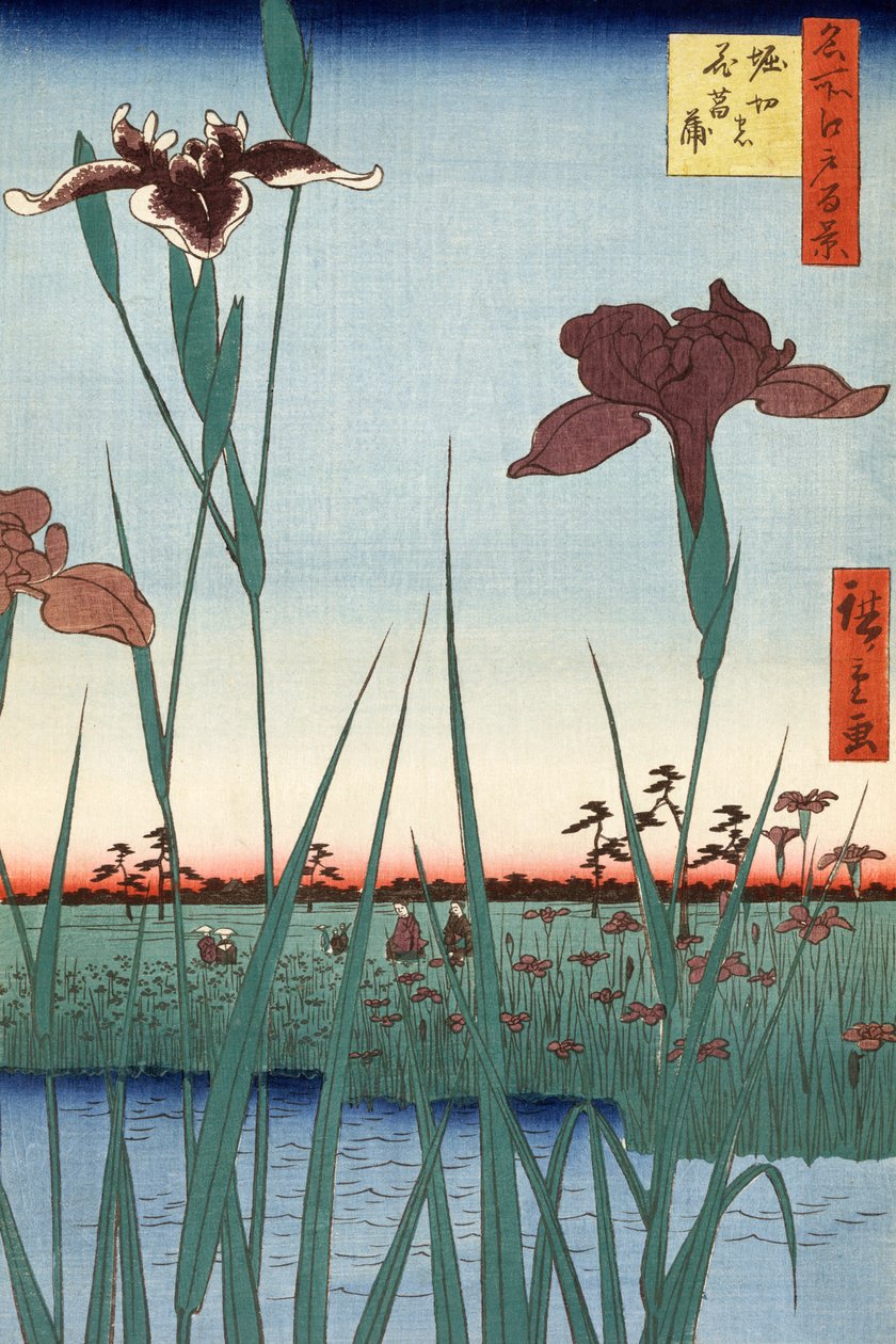 歌川広重の堀切菖蒲園 作： 安藤または歌川広重