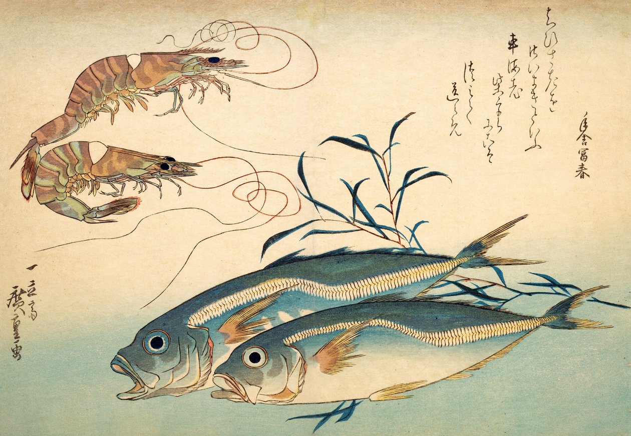 あじと車海老（色木版） 作： 安藤または歌川広重