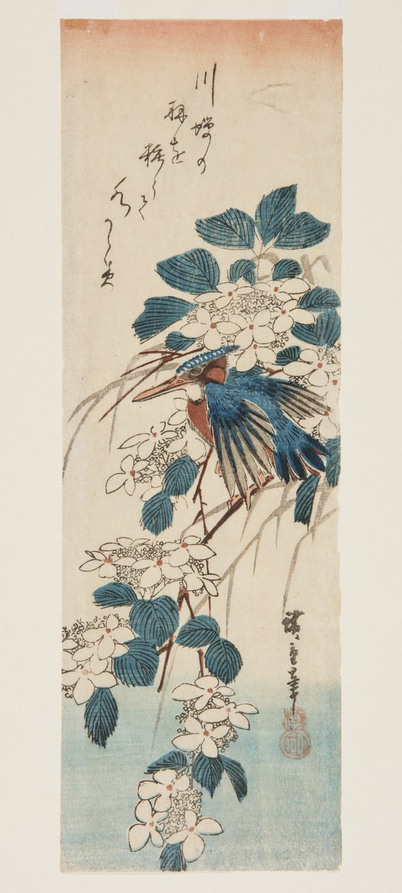 カワセミとガマズミ（カラー木版画 作： 安藤または歌川広重