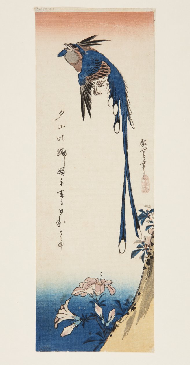 カササギとアザレア（カラー木版画 作： 安藤または歌川広重