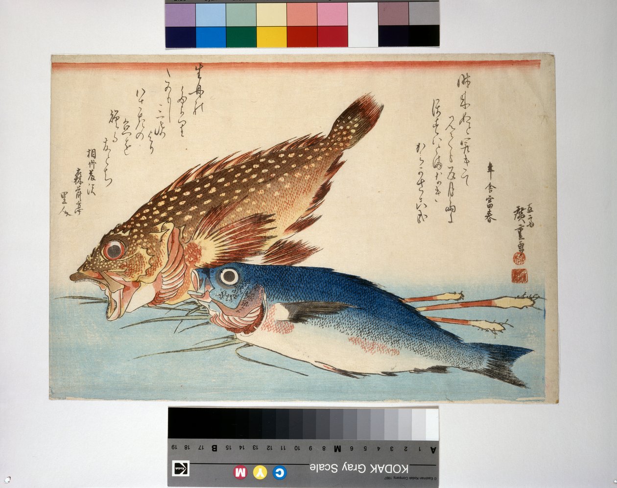 カサゴとイサキの根ショウガ和え 作： 安藤または歌川広重
