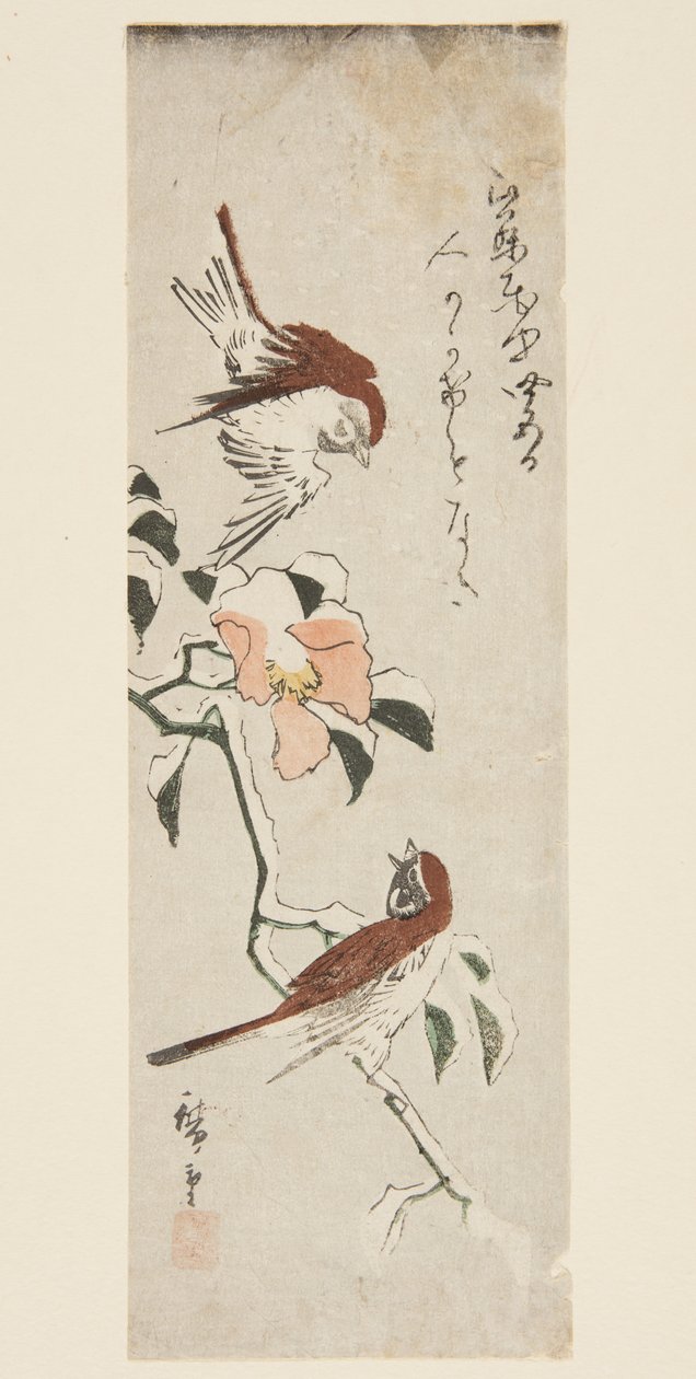 スズメと雪椿（カラー木版画 作： 安藤または歌川広重