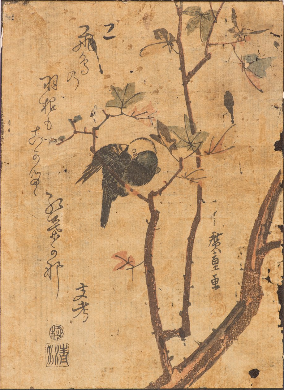 枝で眠っている鳥の研究 作： 安藤または歌川広重