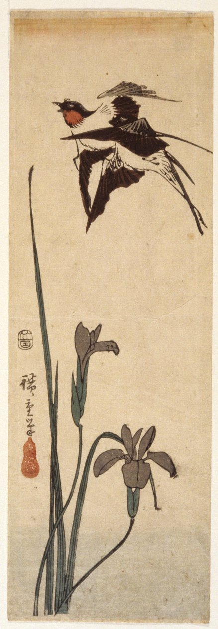 ツバメとアイリス (カラー木版画) 作： 安藤または歌川広重