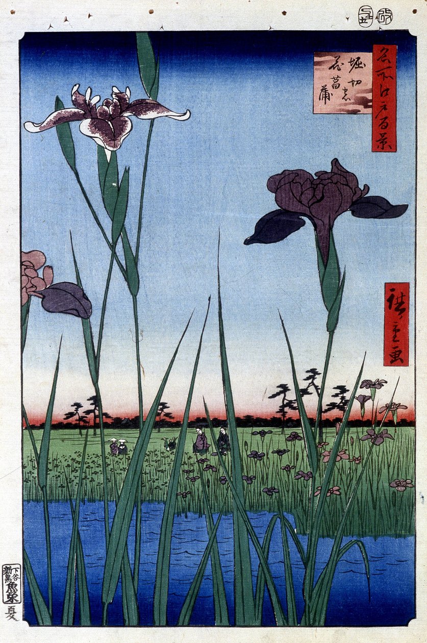 ウォーターアイリス - 歌川広重による日本の版画。江戸百景 作： 安藤または歌川広重