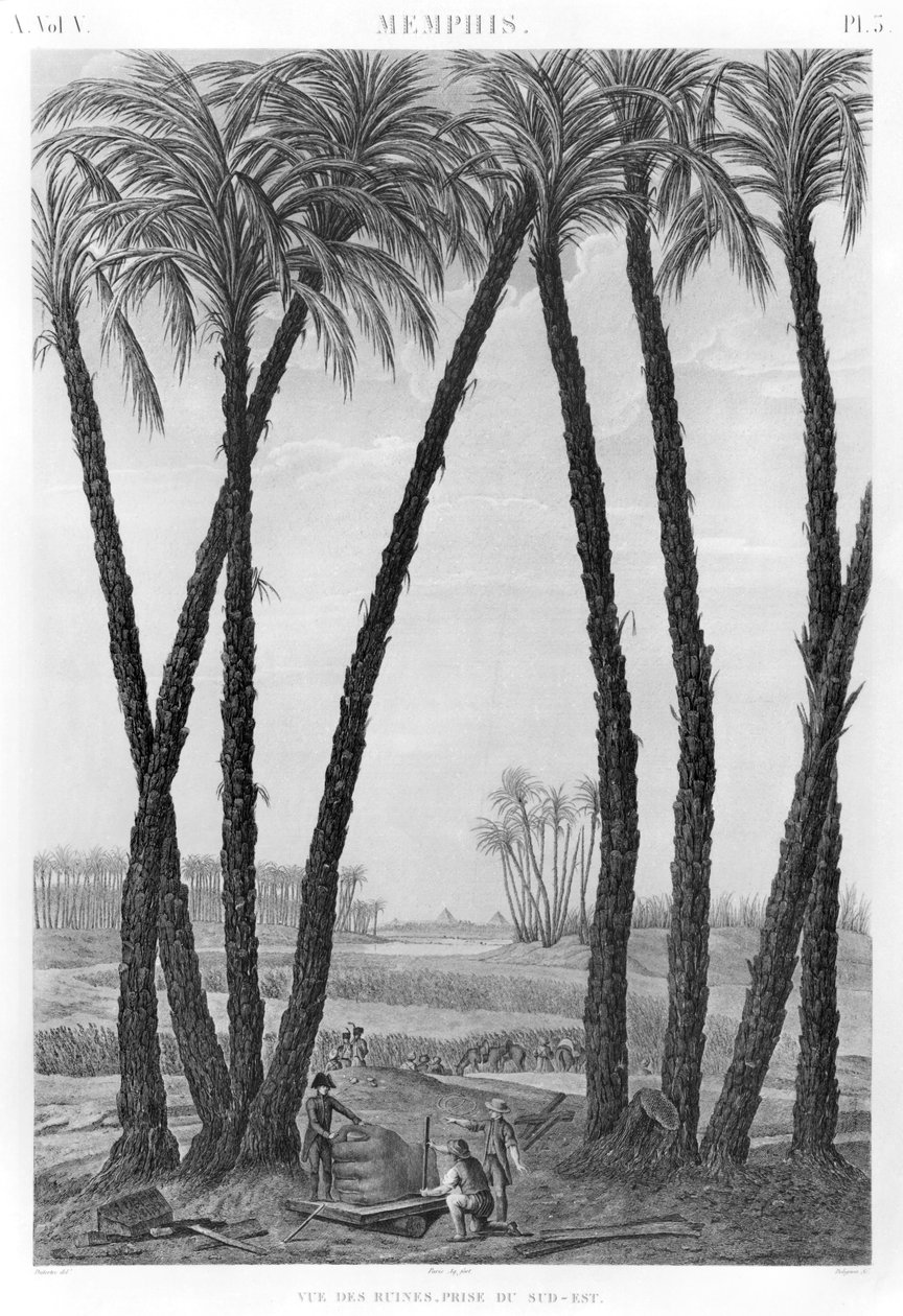 ジャンルイデリニョン（1755-1804）によって刻まれた南東から見たメンフィスの遺跡の眺め 作： アンドレ・ドゥテルトレ