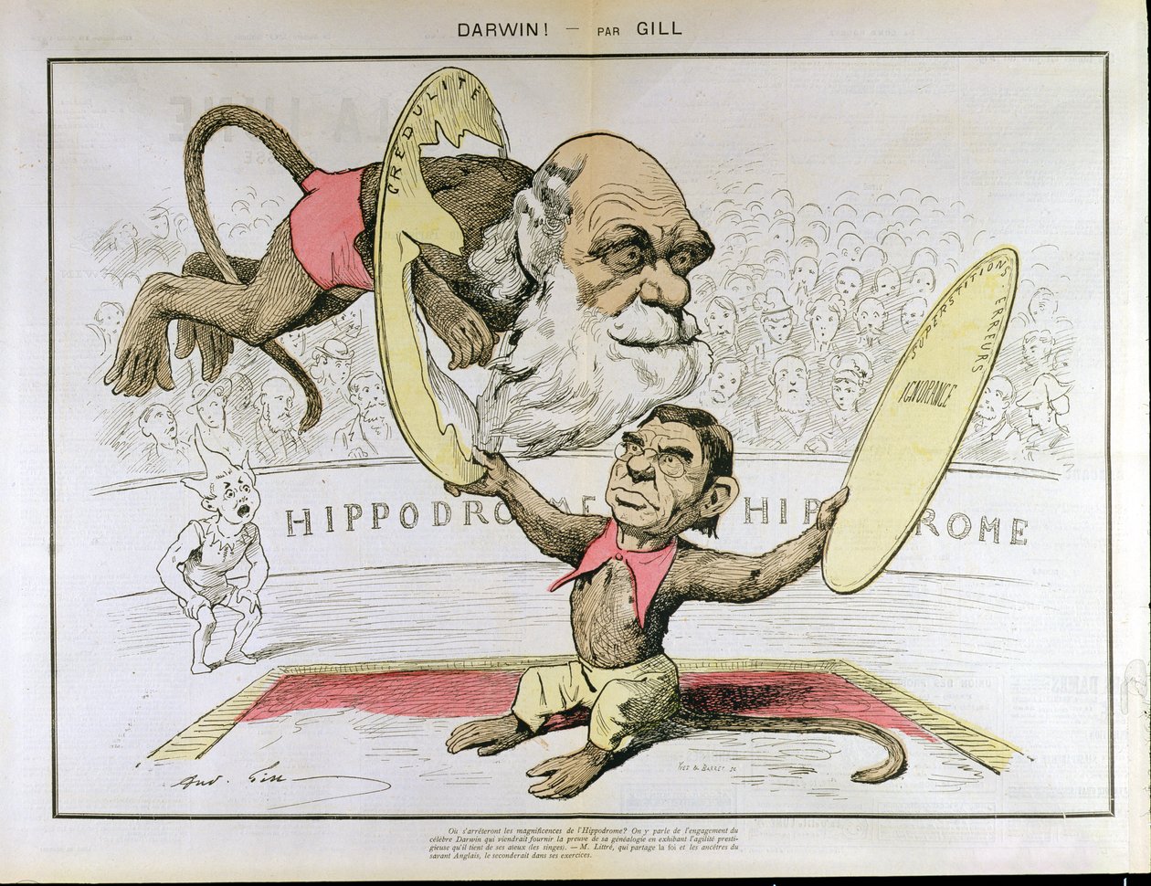 サーカスでサルを演じていることを描いたチャールズダーウィン（1809-1882）とエミールリトル（1801-1881）の風刺画 作： アンドリュー・ギル