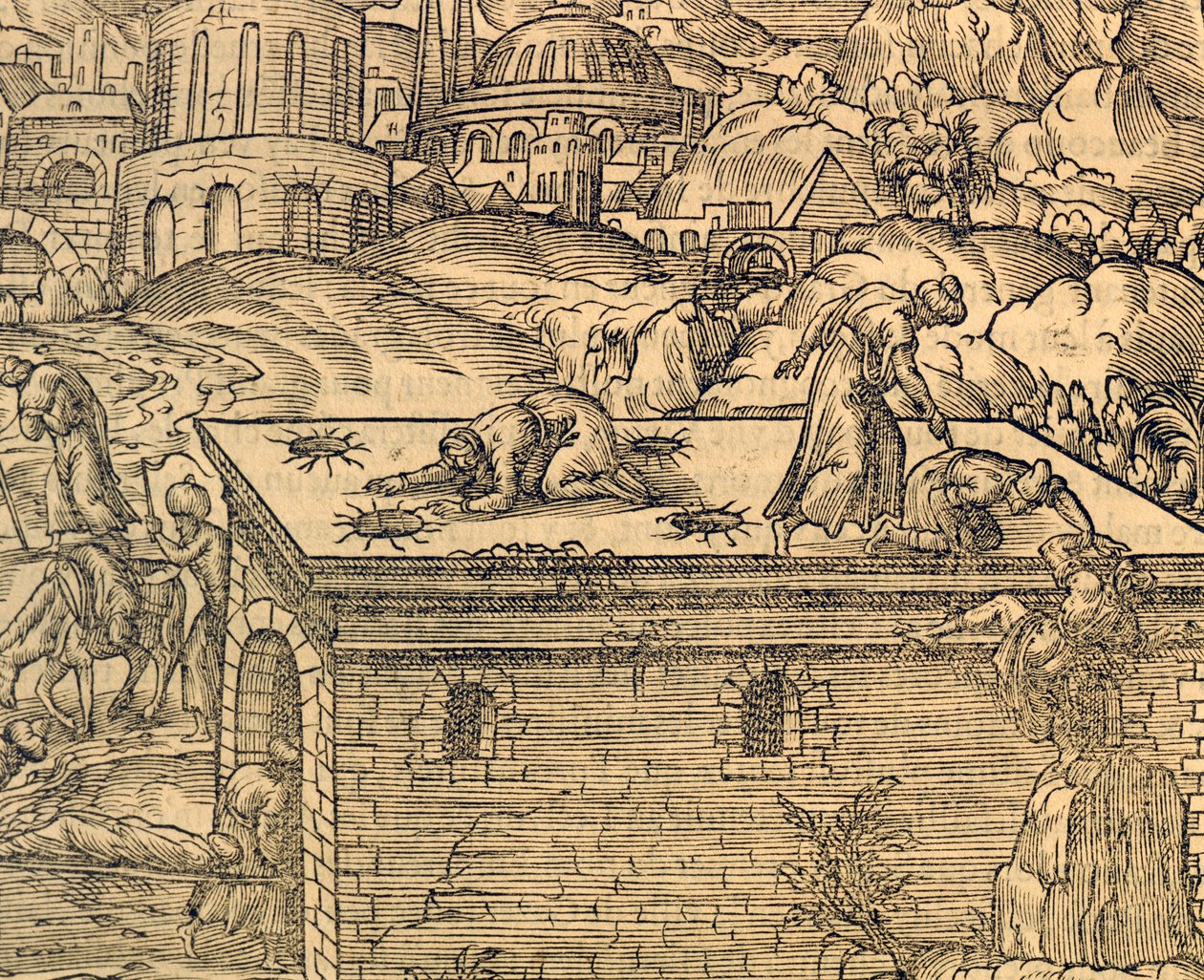 アケルデマッハのキリスト教墓地、アンドレ・テベ（1504-1592）の『Cosmographie universelle』からの彫刻、パリ 作： アンドレ・テベ