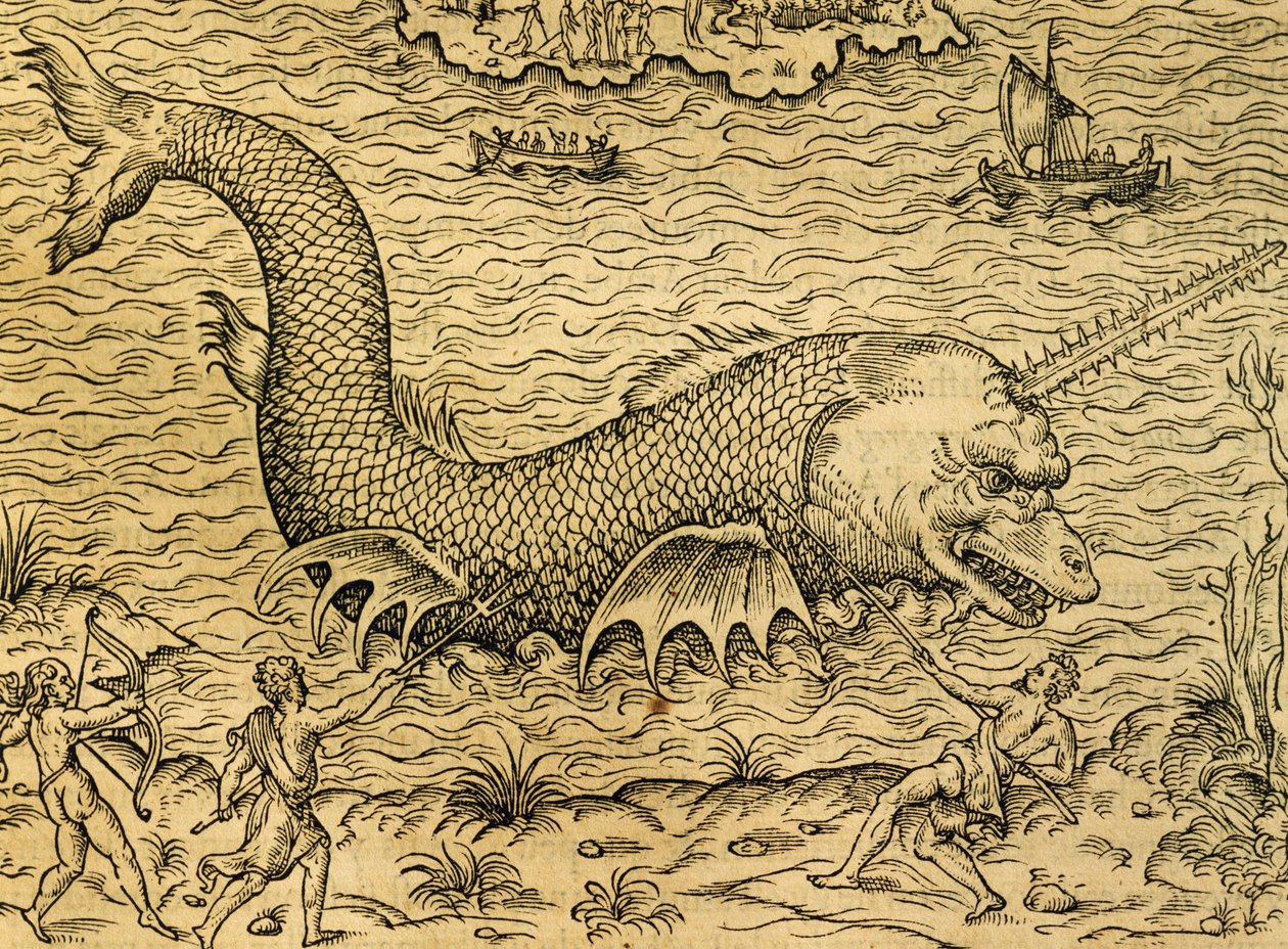 アンドレ・テヴェ（1504-1592）の『万国宇宙論』からの版画「海の怪物」、パリ 作： アンドレ・テベ