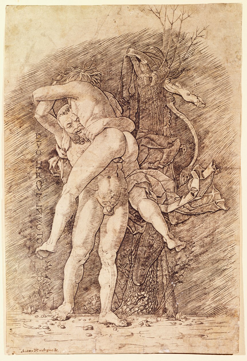 アンドレア・マンテーニャ（1431-1506）作「ヘラクレスとアンタイオス」、デッサン。 作： アンドレア・マンテーニャ