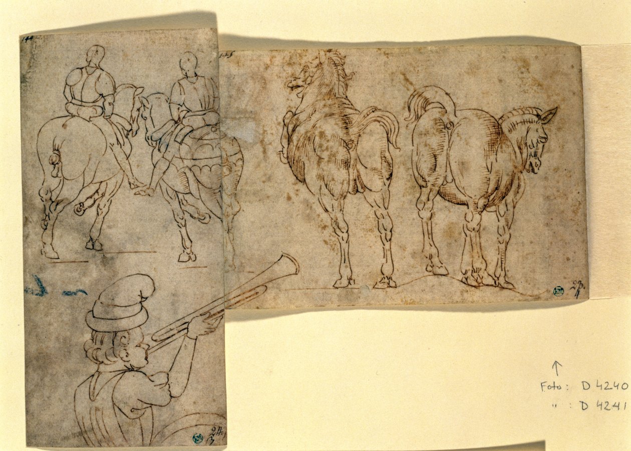 Inv no。38 recto Sketch of Horses、c。 1460-70（ペンとインク） 作： アンドレア・ベロッキオ