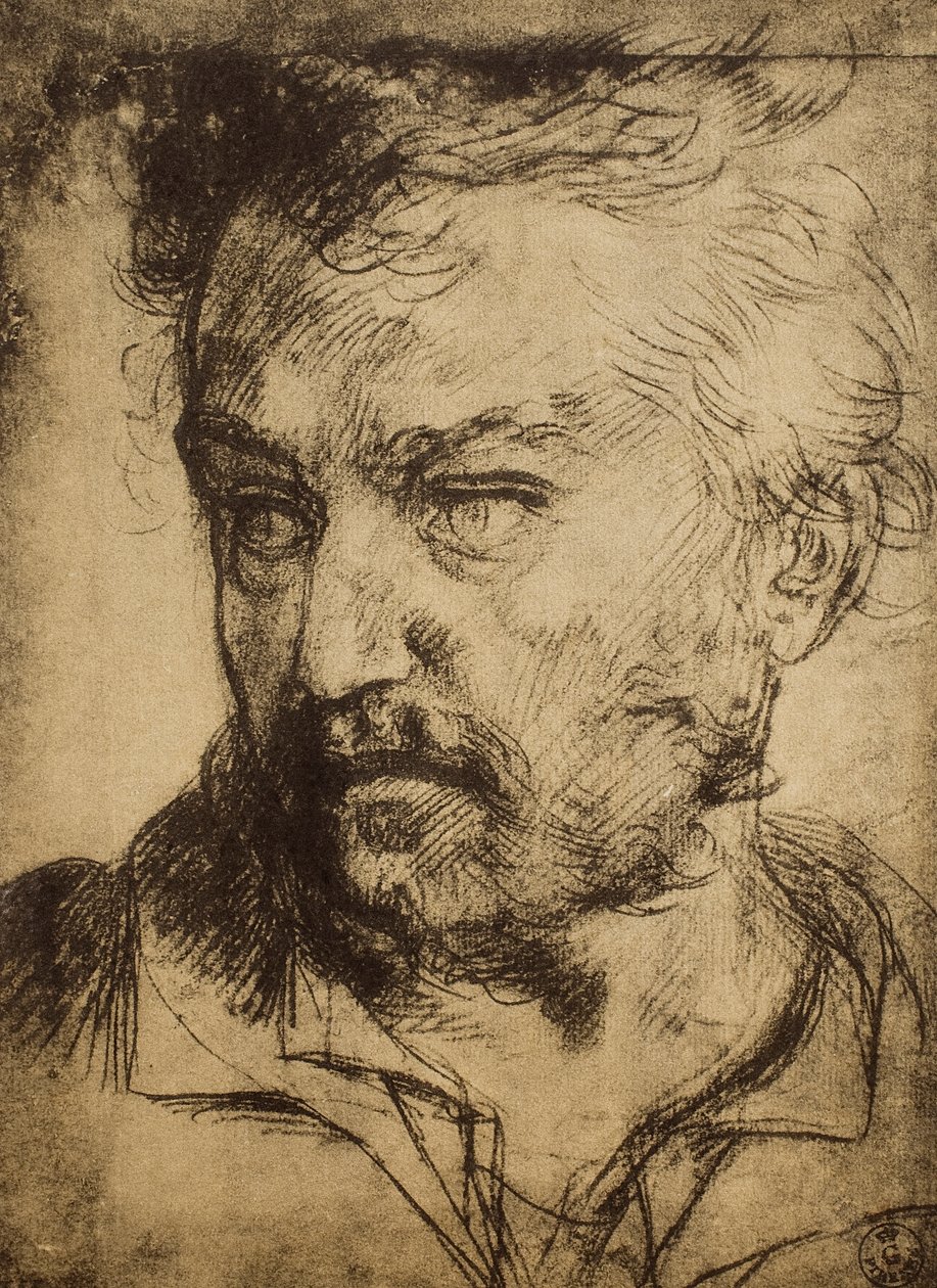 男の頭;アンドレア・デル・サルトの絵。内閣描画と版画、ウフィツィ美術館、フィレンツェ 作： アンドレア・デル・サルト