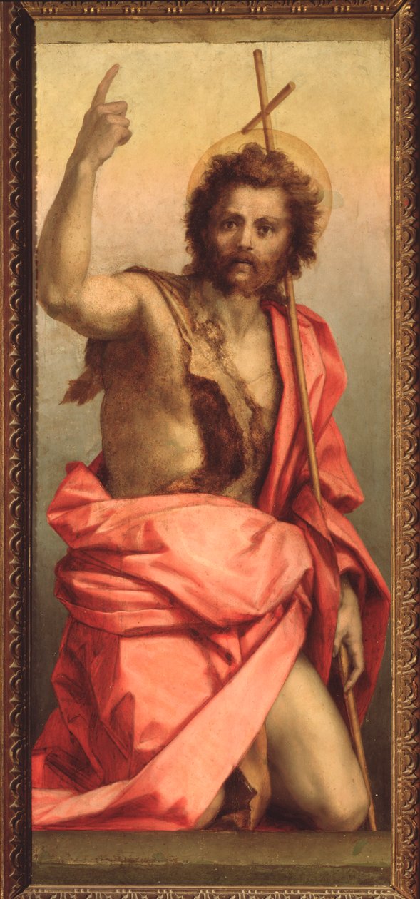 洗礼者聖ヨハネ、聖アグネスの祭壇画 (絵画、1525-1528年) 作： アンドレア・デル・サルト