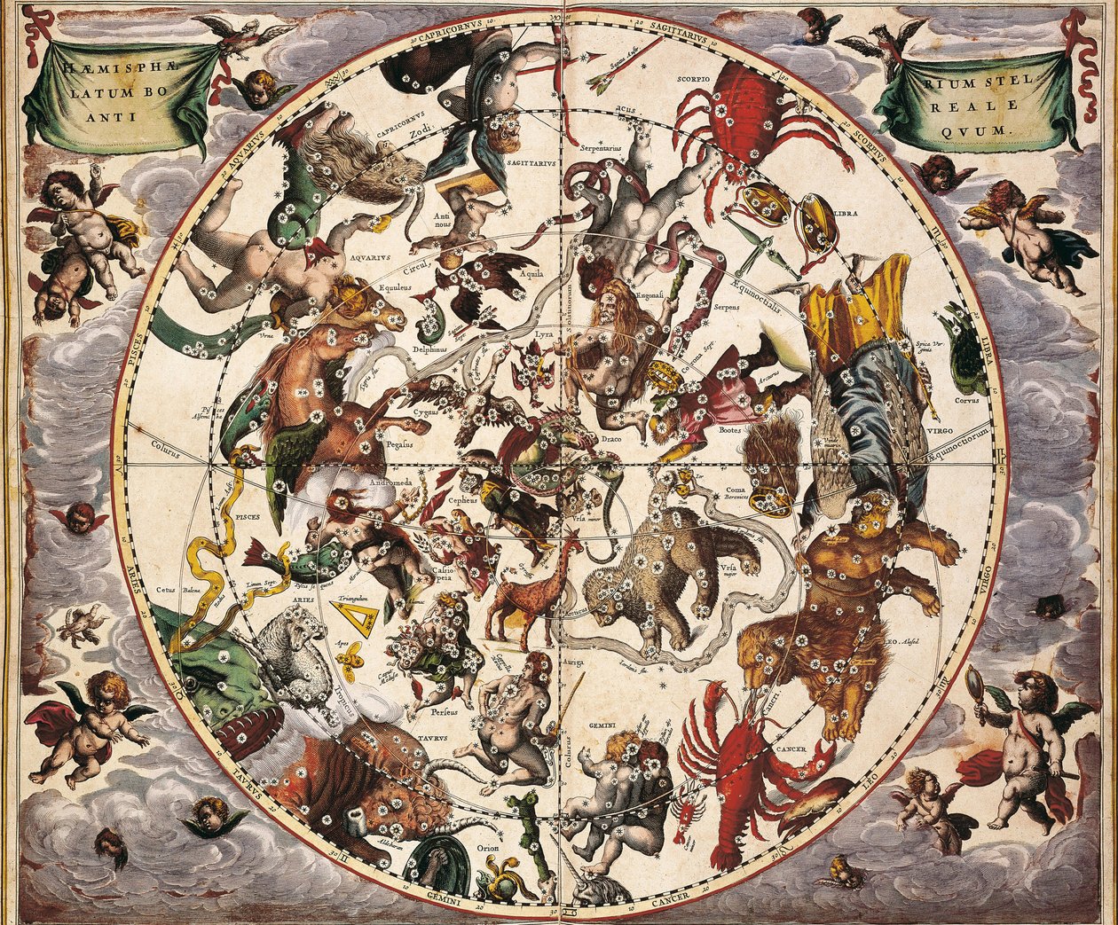 Cellarius、アンドレアス（1596-1665）。 セレスティアル アトラスまたはマクロコズミック ハーモニー。 1661. Fol 24. 古代の星空半球ボレアル。 北半球の表現。 Johannes Janssoniusによってアムステルダムで印刷されました。 近世 彫刻。 スペイン C 作： アンドリュー・セラリウス
