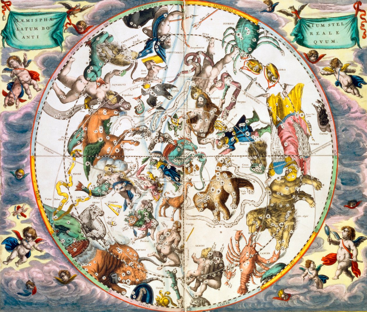 星座を示す天体の星座早見盤、1660～1661 年 作： アンドリュー・セラリウス