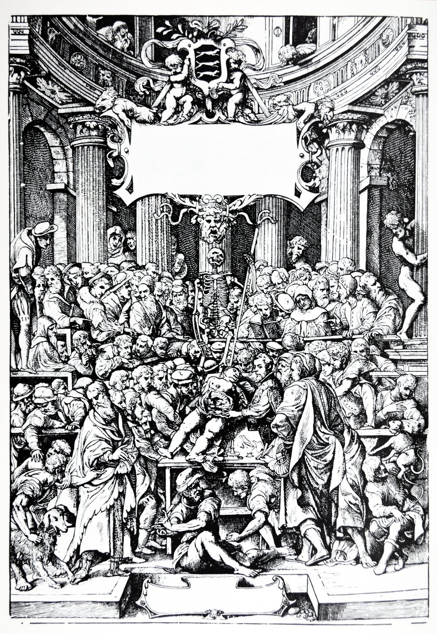 De Humani Corporis Fabricaの縮図からのプレート 作： アンドレアス・ヴェサリウス