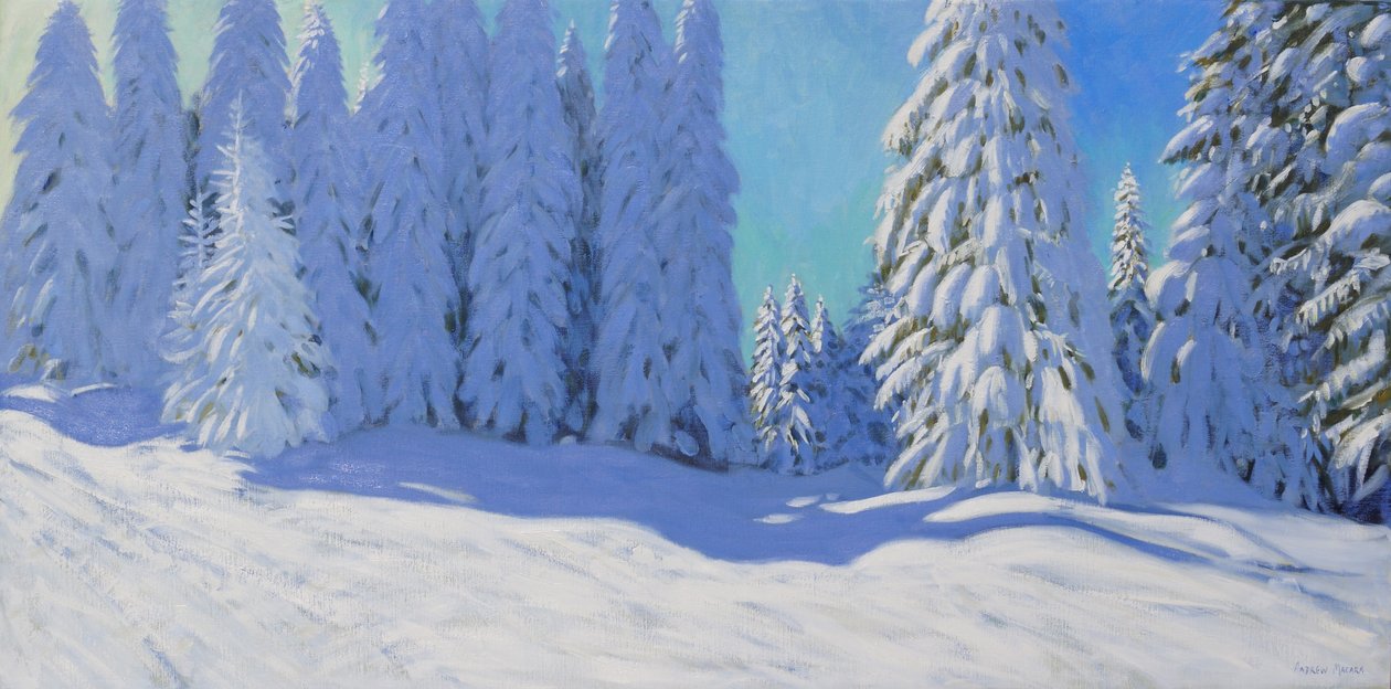 新雪、モルジヌ、フランス、2015、 作： アンドリュー・マカラ