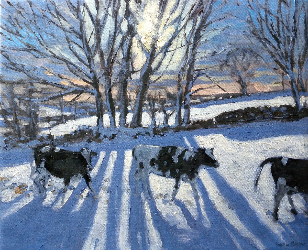 Friesian Cows、2009年 作： アンドリュー・マカラ