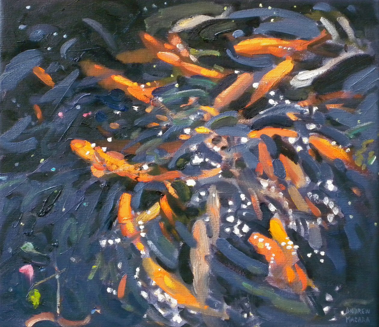 金魚2010 作： アンドリュー・マカラ