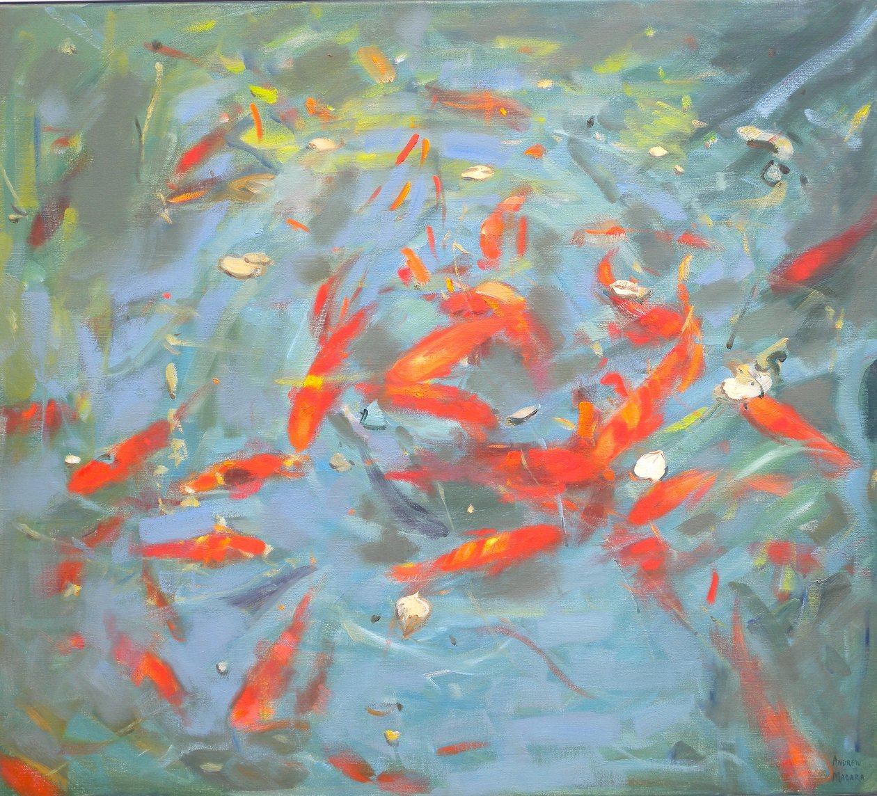 金魚2010 作： アンドリュー・マカラ