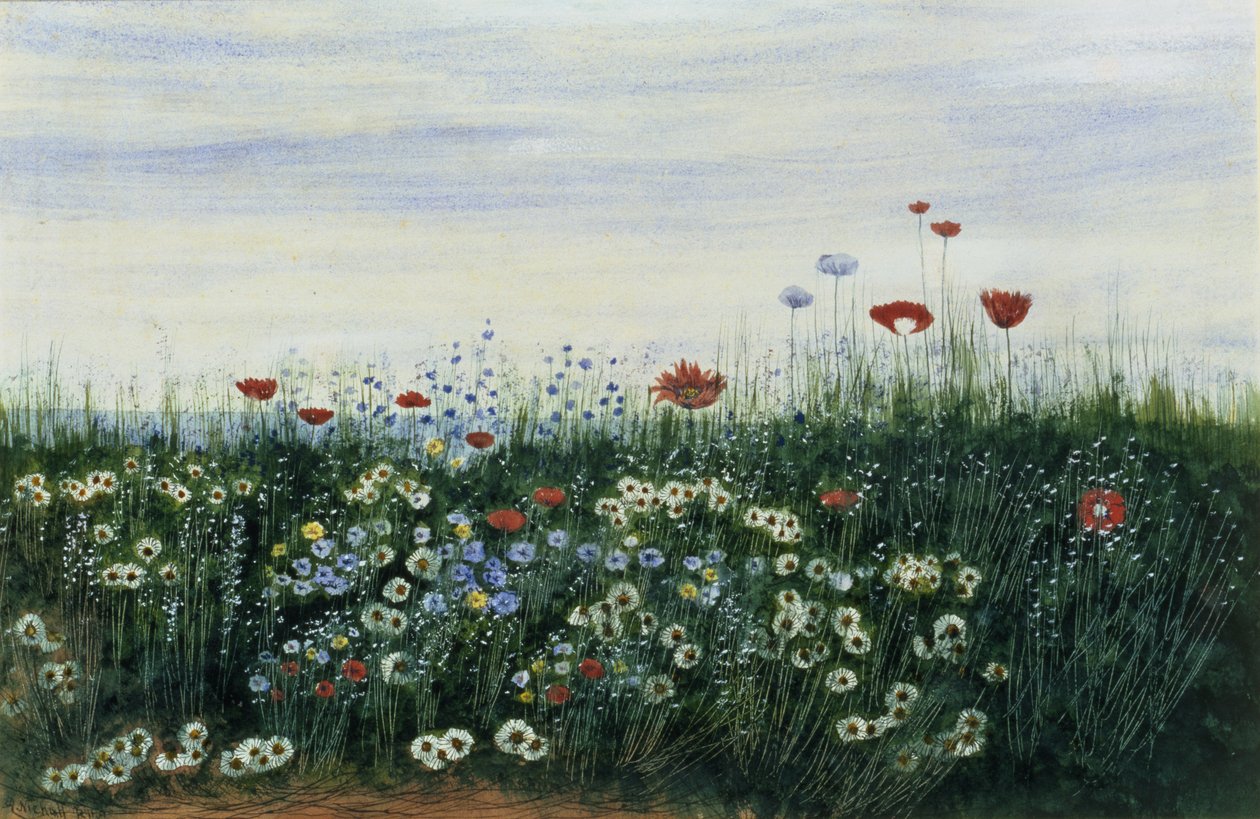 ポピー、ヒナギク、その他海辺の花々（85963組） 作： アンドリュー・ニコル