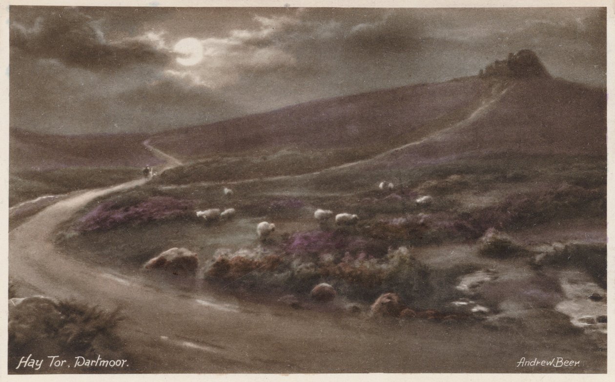  作： アンドリュー・ビア