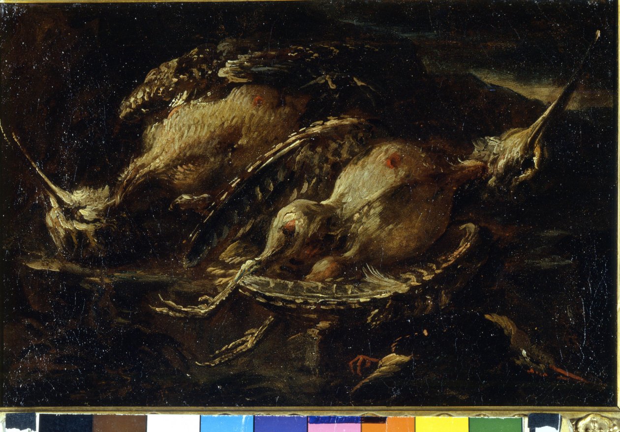 鳥の静物画。アンジェロ・マリア・クリヴェローネ（？-1730/60？）の絵画。ミラノ、CRA。 作： アンジェロマリアクリヴェリ