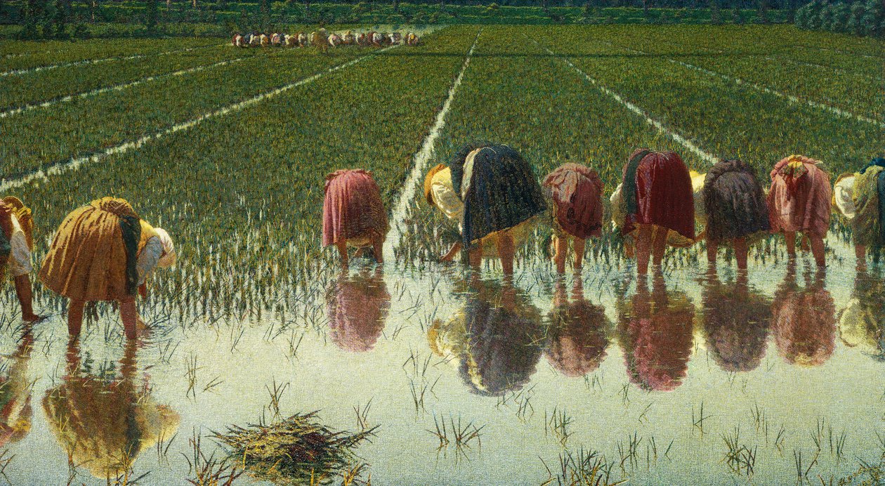 80ペニーのために」アンジェロ・モルベッリ（1853-1919）作、油彩・キャンバス、67,5x124,5 cm 作： アンジェロ・モルベリ