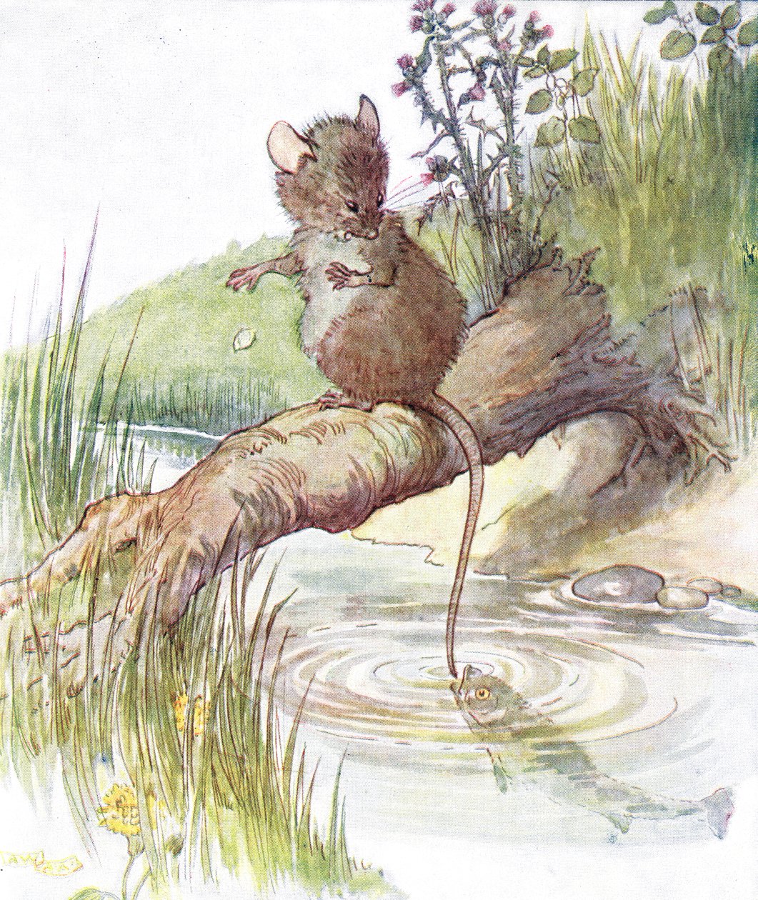「魚がやって来て、鋭いニップを与えた」イラストは、「The Mischievious Mousie Book」（Thomas Nelson und Sons、1920年代）のイラストです。 作： アン・アンダーソン