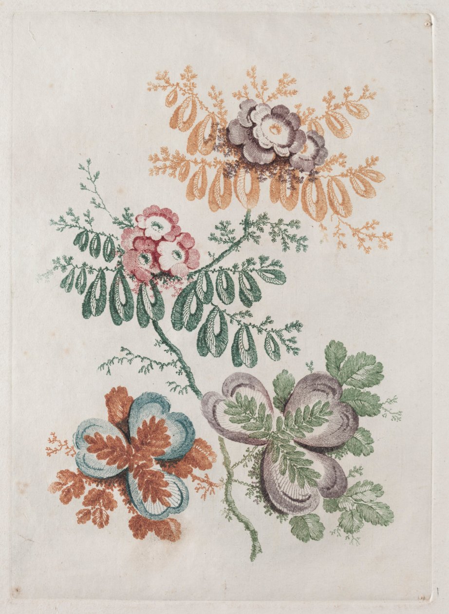 デザインと絵画に使用するのに理想的な花のポートフォリオの新しいスイート：花のファンタジー、c。 179 作： アン・アレン