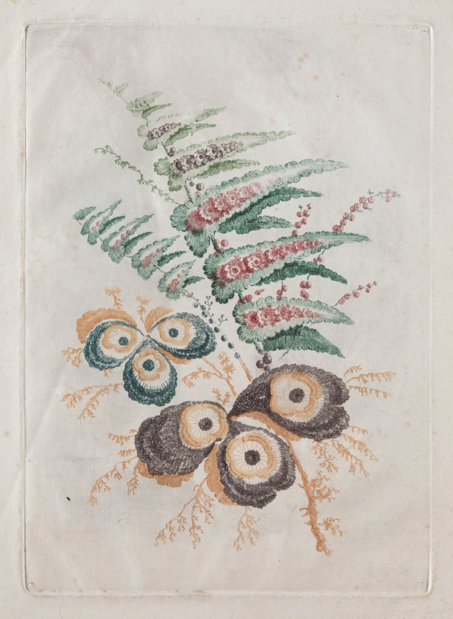 デザインと絵画に使用するのに理想的な花のポートフォリオの新しいスイート：花のファンタジー、c。 179 作： アン・アレン