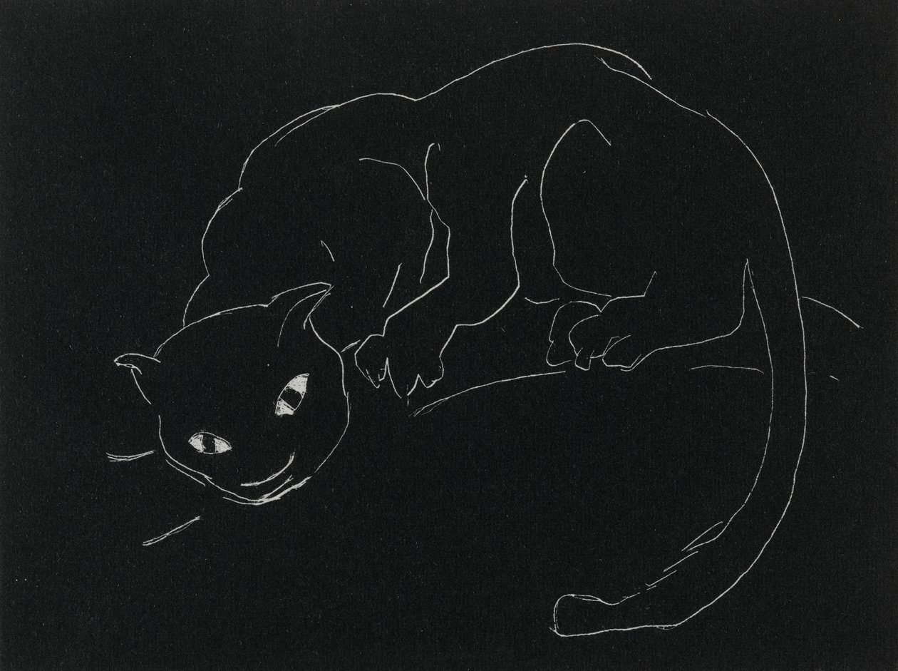 ナイトシリーズ：猫（リト、織り紙の白い線） 作： アン・ゴールドスウェイト