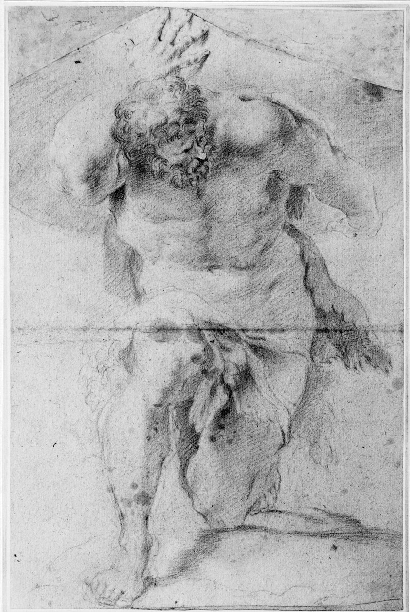 世界を抱えるヘラクレス 作： Annibale Carracci