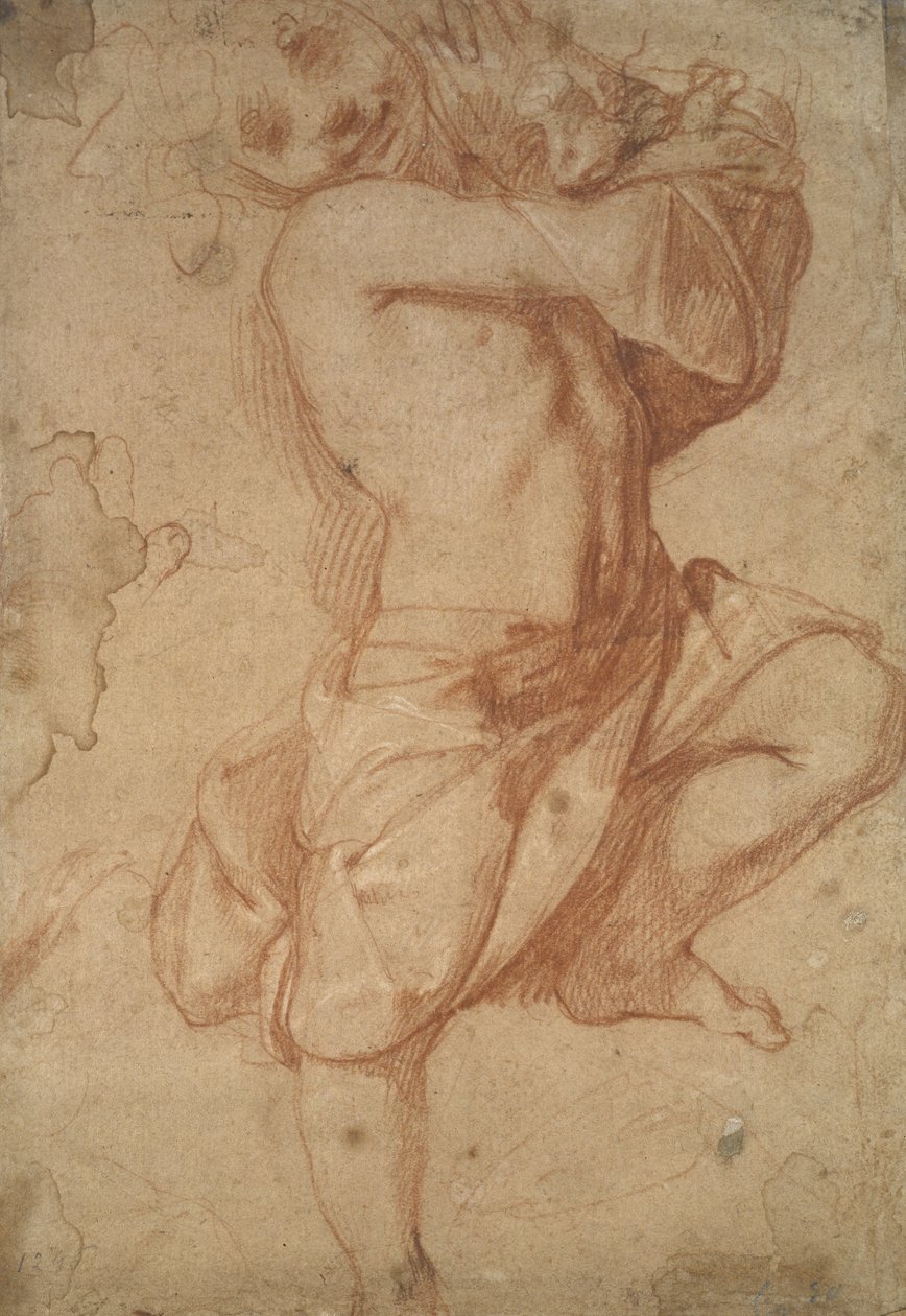セミヌードボーイ 作： Annibale Carracci
