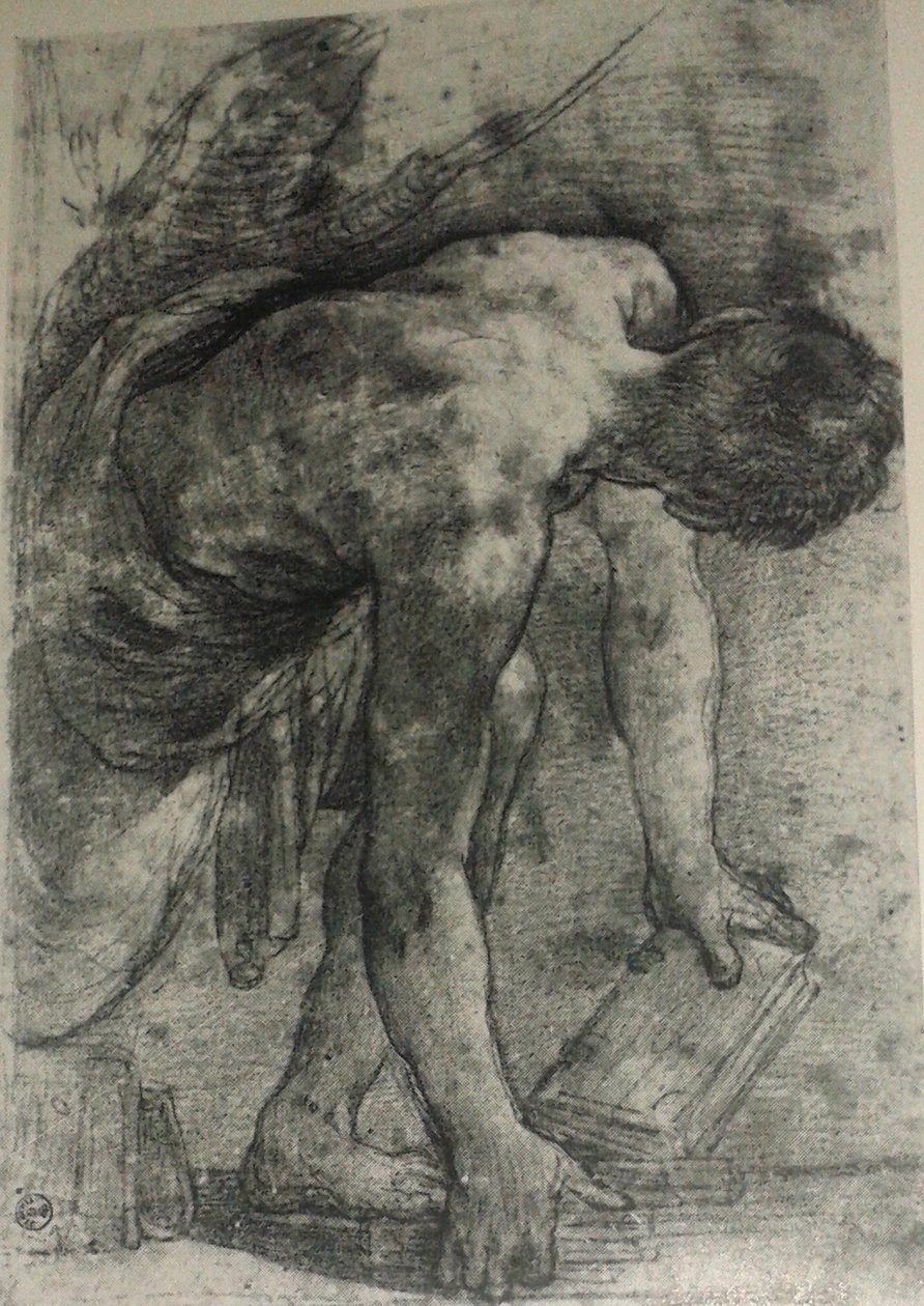 マグナニフリーズフェルスコの研究 作： Annibale Carracci