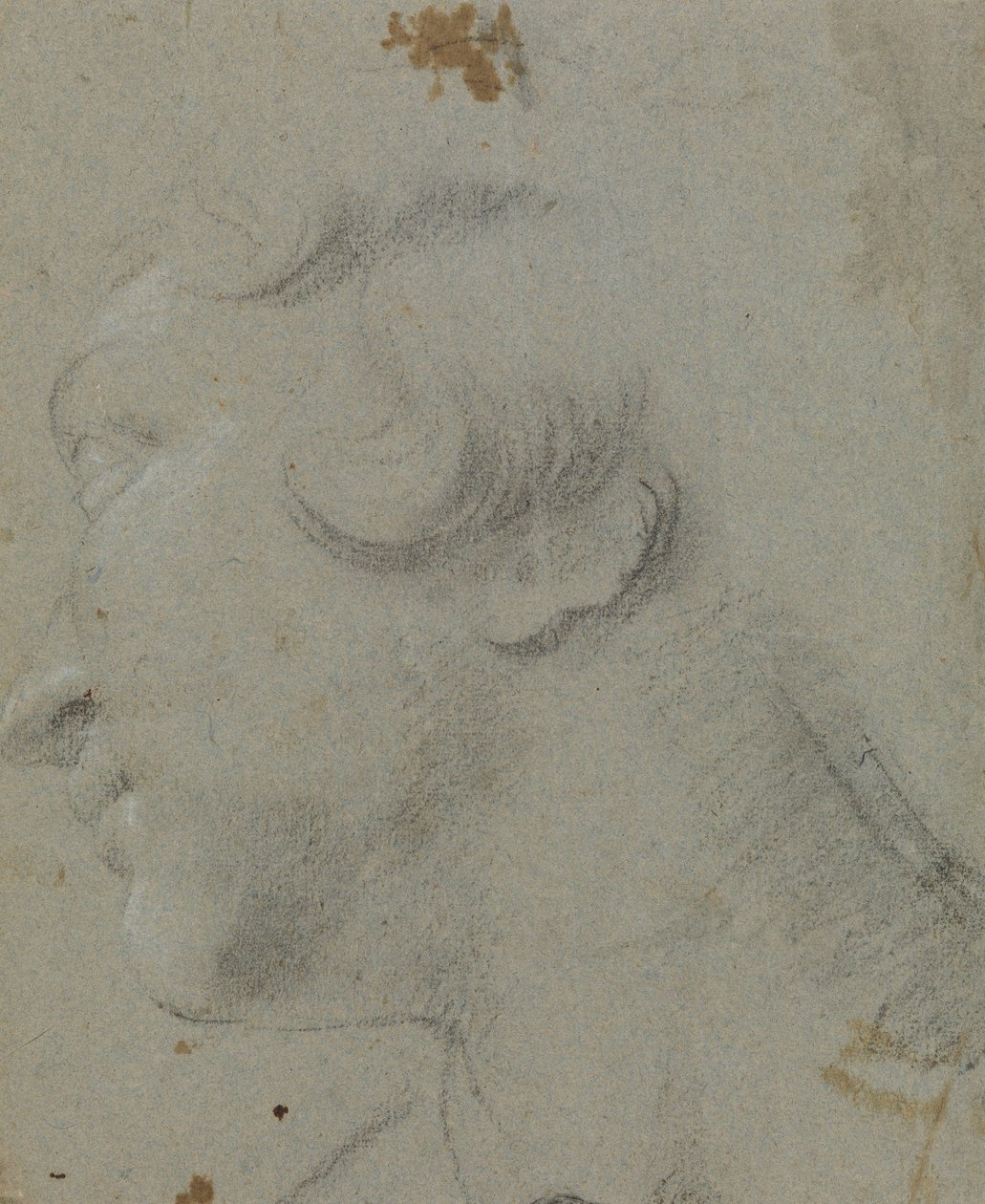 聖カタリナの頭、RCIN 902115 作： Annibale Carracci